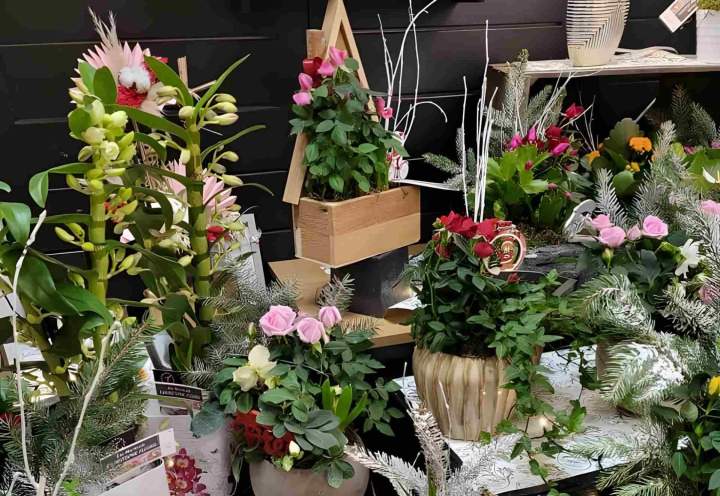 Vente belles fleurs toutes occasions Callengeville