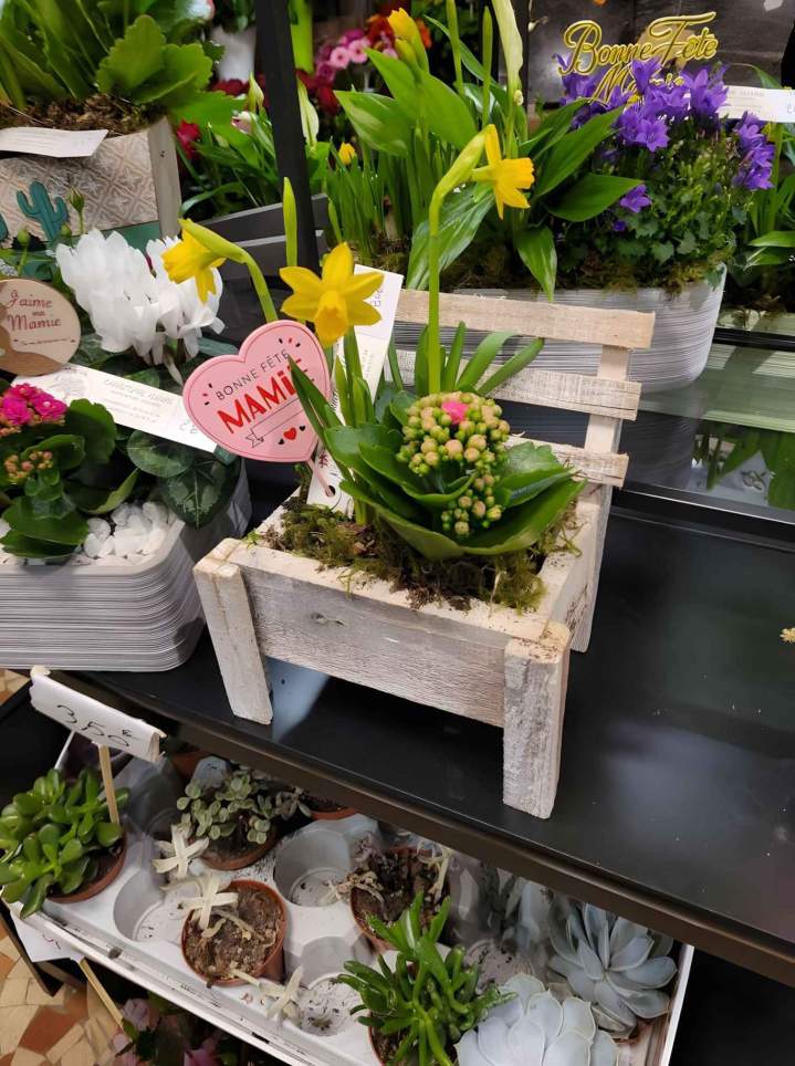 Pots décoratifs et solutions de protection des sols