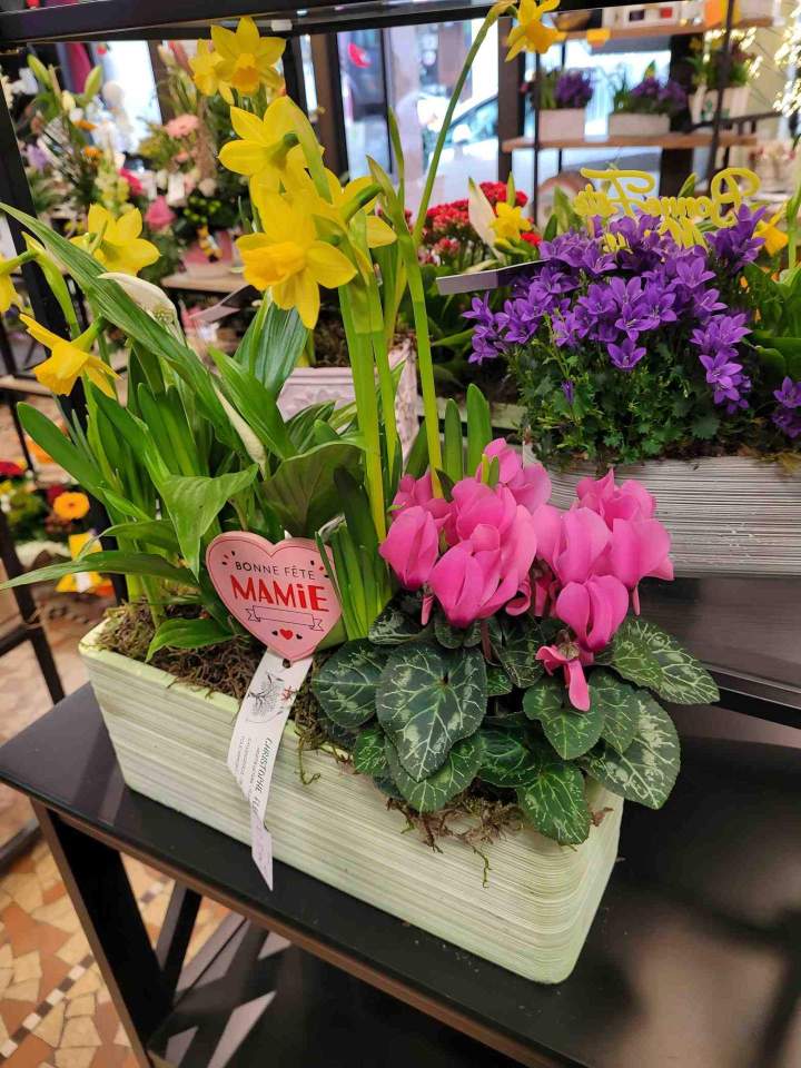 Cadeau fleurs en contenant Callengeville