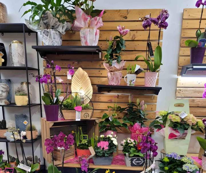 Vente fleurs diversifiées Callengeville