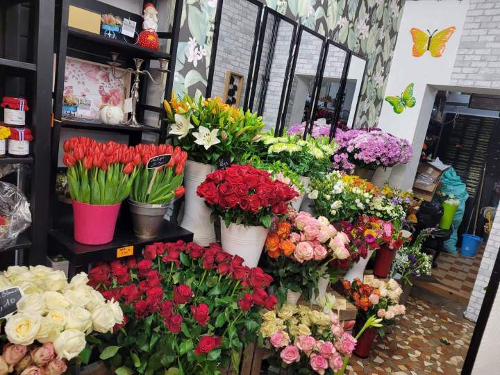 Vente chrysanthèmes Callengeville