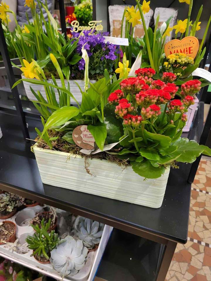 Fleurs tendance Callengeville