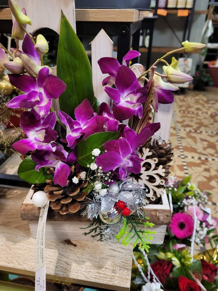 Pépinière fleurs Callengeville